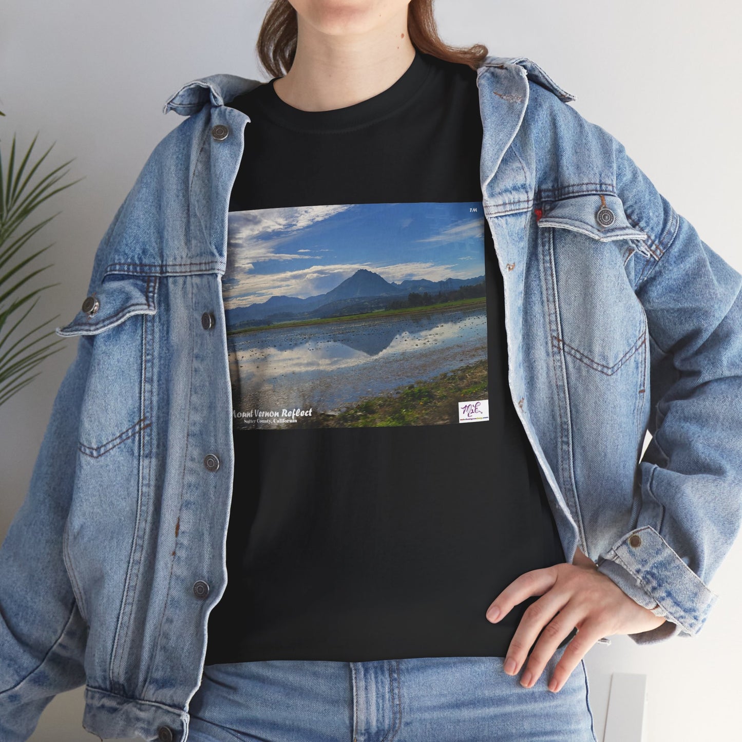 Heavy Cotton Tee: "Mount Vernon Reflect(tm)" - Blank Sleeves