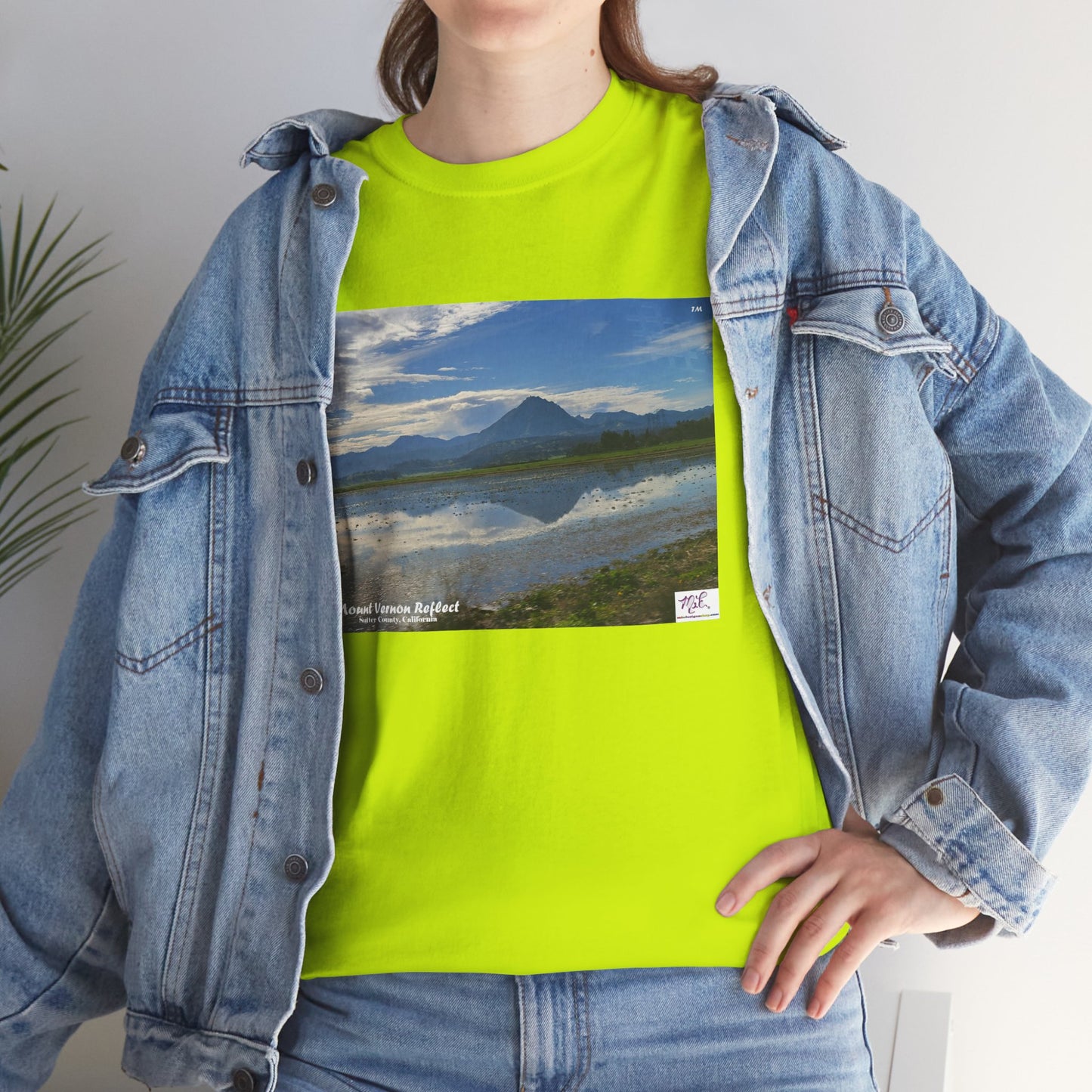 Heavy Cotton Tee: "Mount Vernon Reflect(tm)" - Blank Sleeves