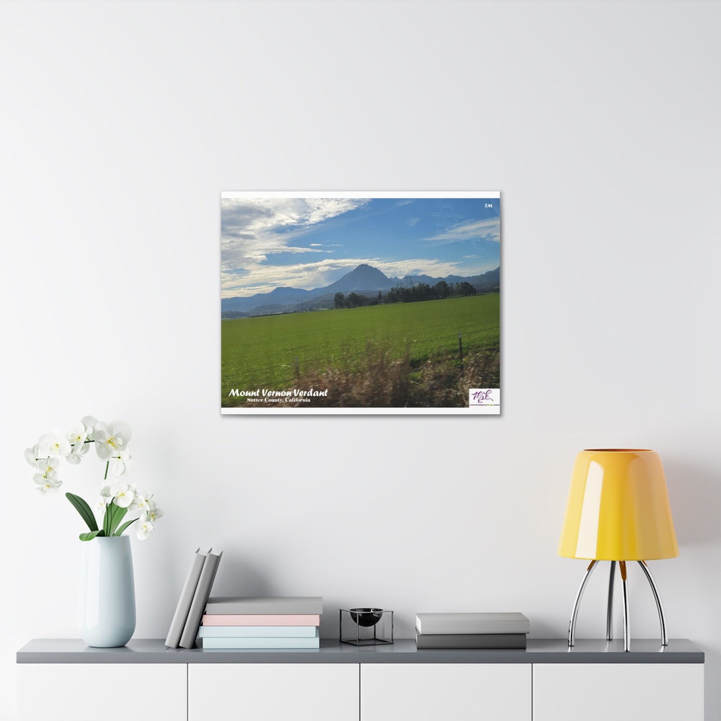 Canvas Gallery Wraps: "Mount Vernon Verdant(tm)" - MiE Designs Shop miedesignsshop.com Looming large, Mount Vernon, part of the Sutter Buttes. 30x24 inch