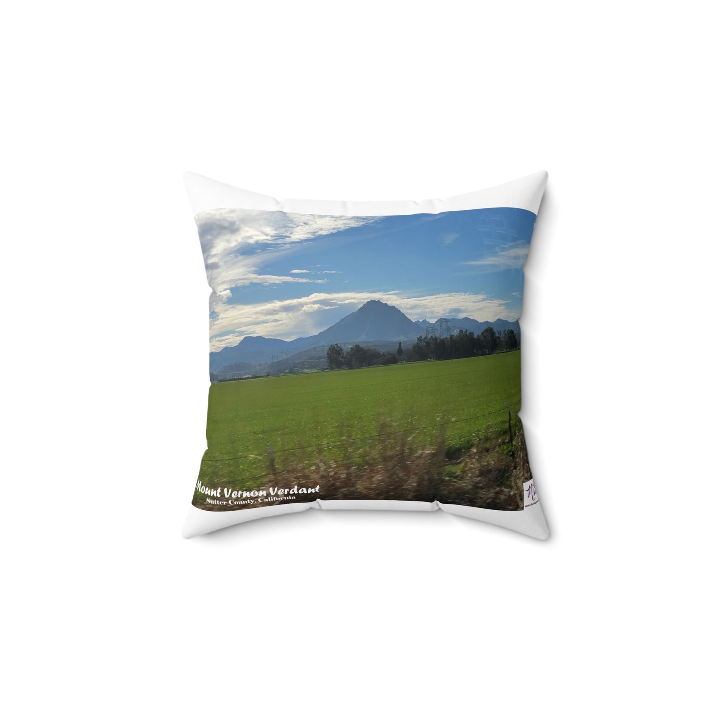 Faux Suede Square Pillow-Mount_Vernon_Verdant-MiE Designs Shop miedesignsshop.com Looming large, Mount Vernon, part of the Sutter Buttes