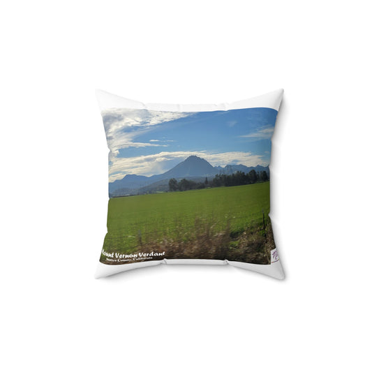 Faux Suede Square Pillow-Mount_Vernon_Verdant-MiE Designs Shop miedesignsshop.com Looming large, Mount Vernon, part of the Sutter Buttes
