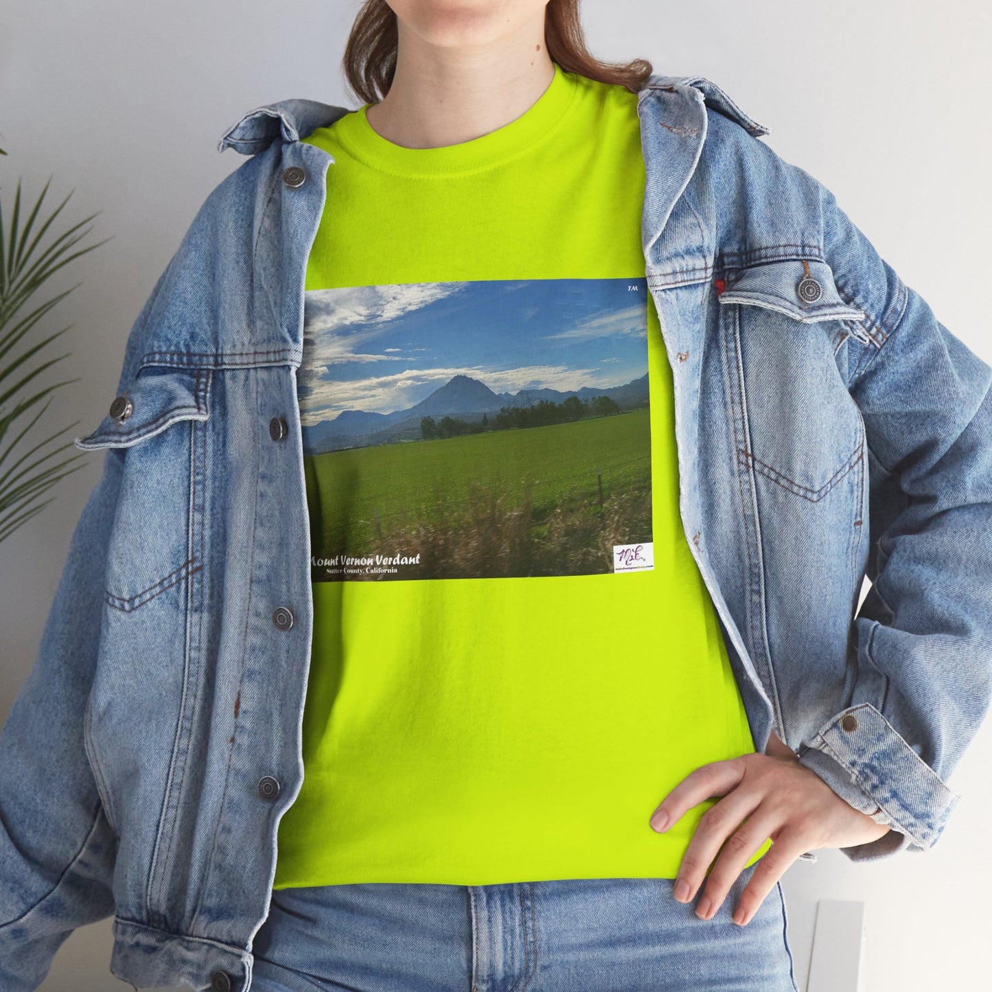Unisex Heavy Cotton Tee:  "Mount Vernon Verdant(tm)" - Blank Sleeves